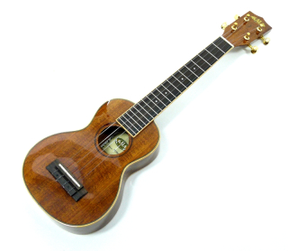 Sopránové ukulele s koncertní menzurou KALA KA KSLNG KOA