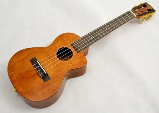Tenor elektoakusticke ukulele MAHALO JAVA 