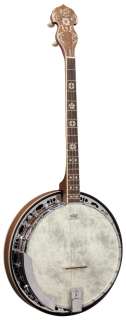 Tenor banjo BARNES & MULLINS BJ504BW "Empress"