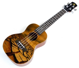 Koncertní ukulele MAHIMAHI MC-VN-02G Visual