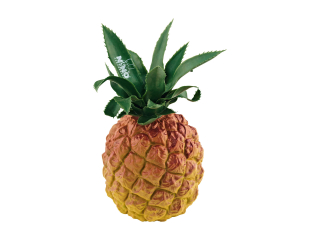 Ananas chrastidlo MEINL NINO595 Pineapple